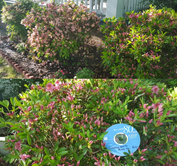 aftertimebreaksyourheart