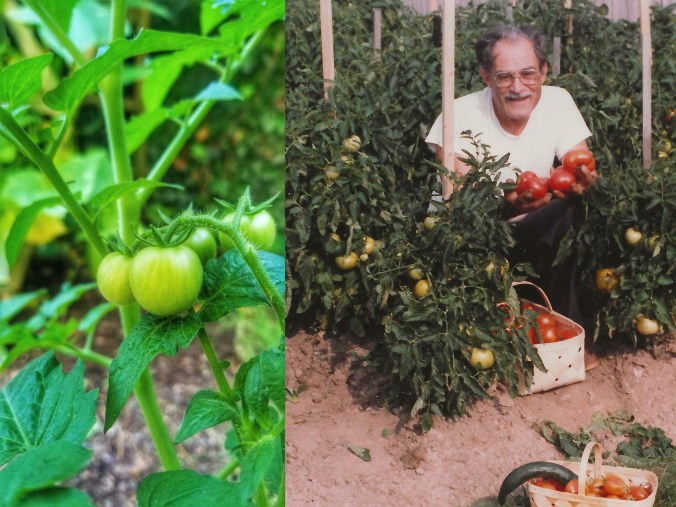 From Generations of Gardens to God’s Sovereignty: A Legacy of Faith and&nbsp;Growth