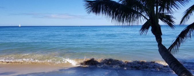 Day 15: Mosaic de La Mona – Sea Glass and Second&nbsp;Chances