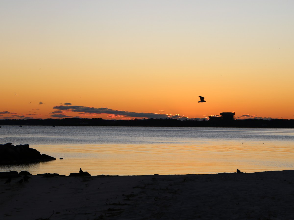 The Journal Returns: A Story of Lost and&nbsp;Found