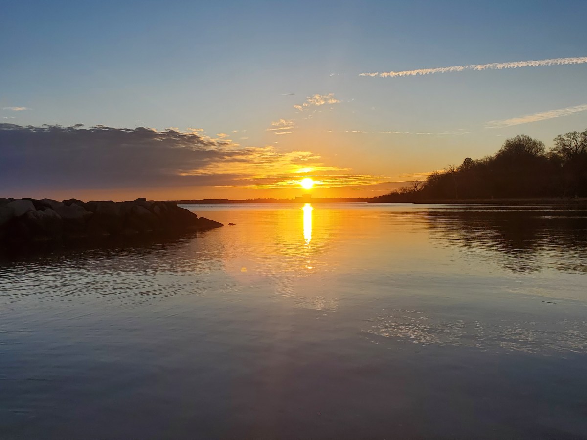 Making the Most of It (Hospital&nbsp;Edition)