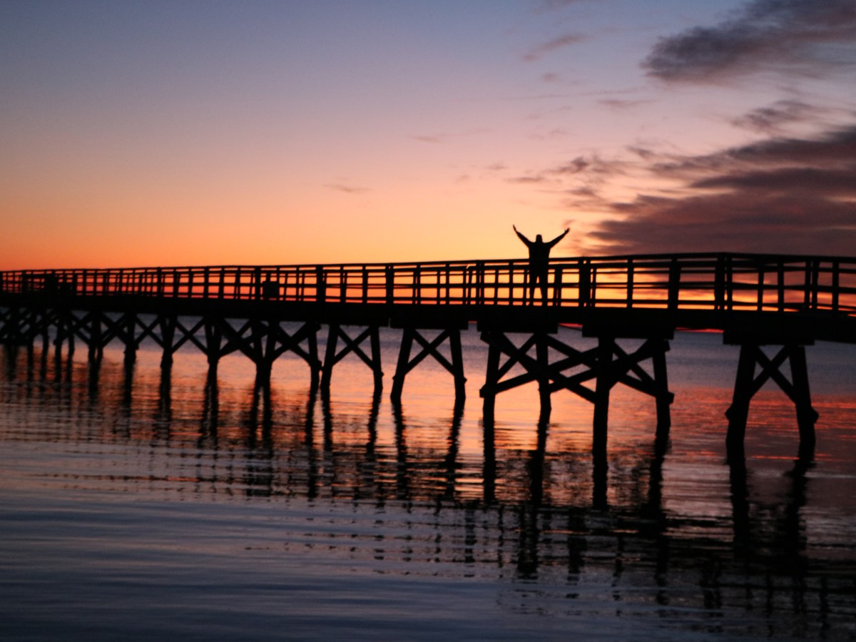 These Bones Will&nbsp;Say