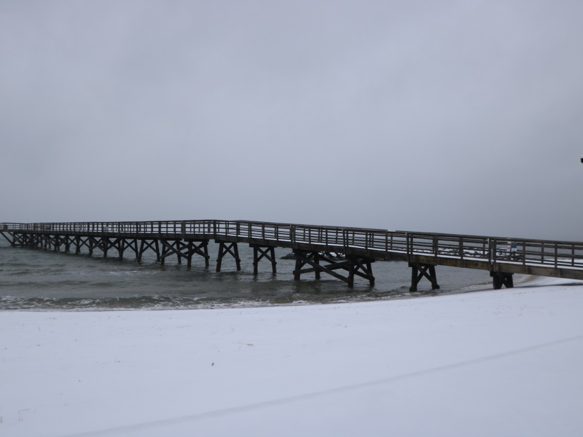 The Book I Didn’t Know I Was&nbsp;Writing