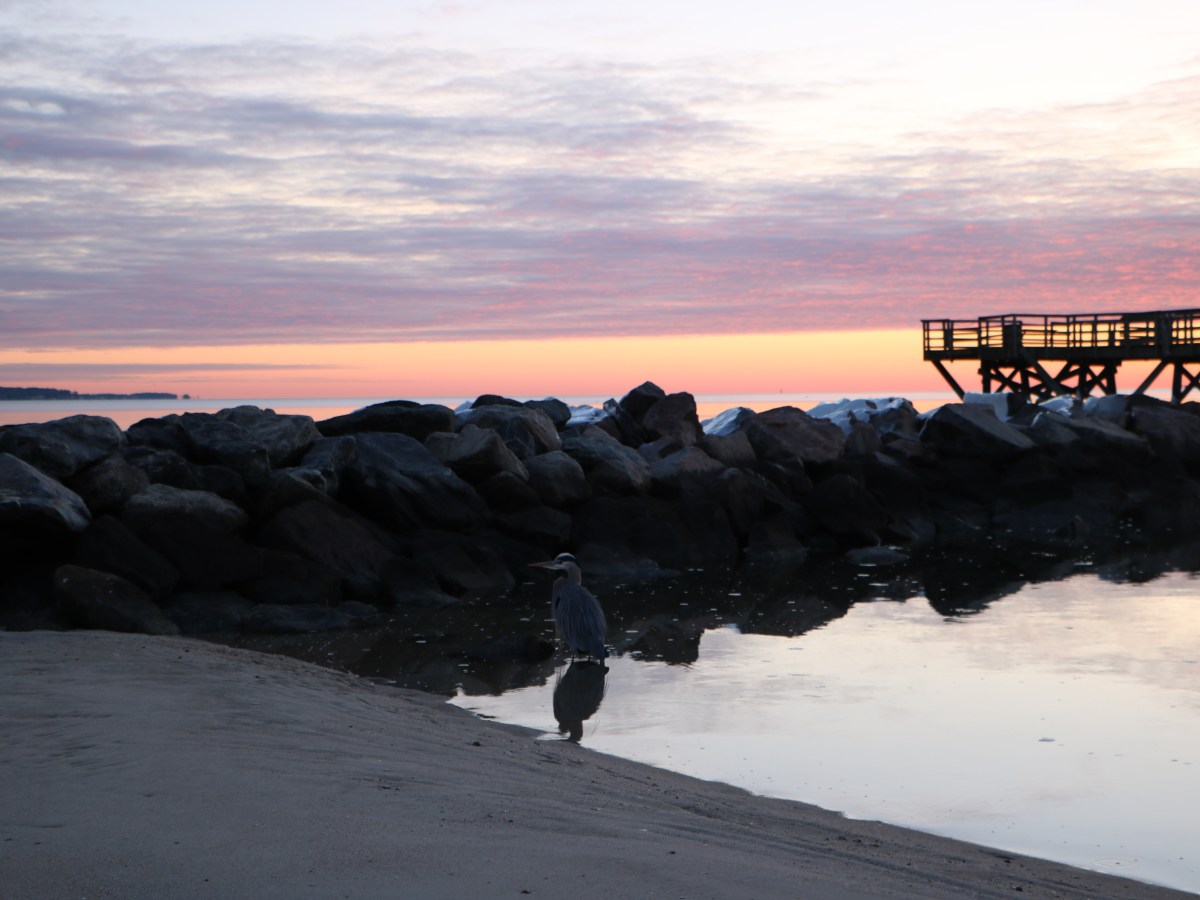 Laura Joy, He’s&nbsp;Here