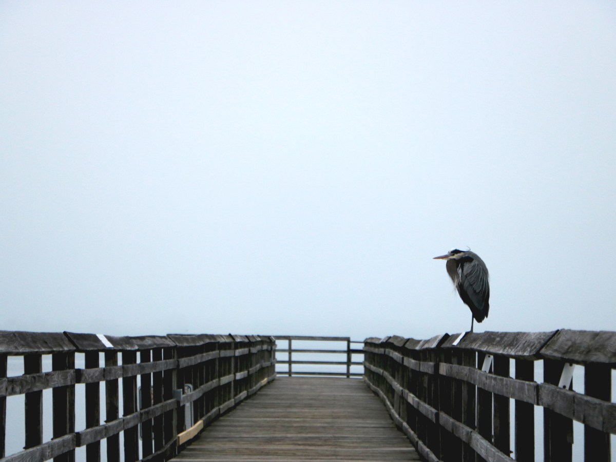 Standing in Uncertainty