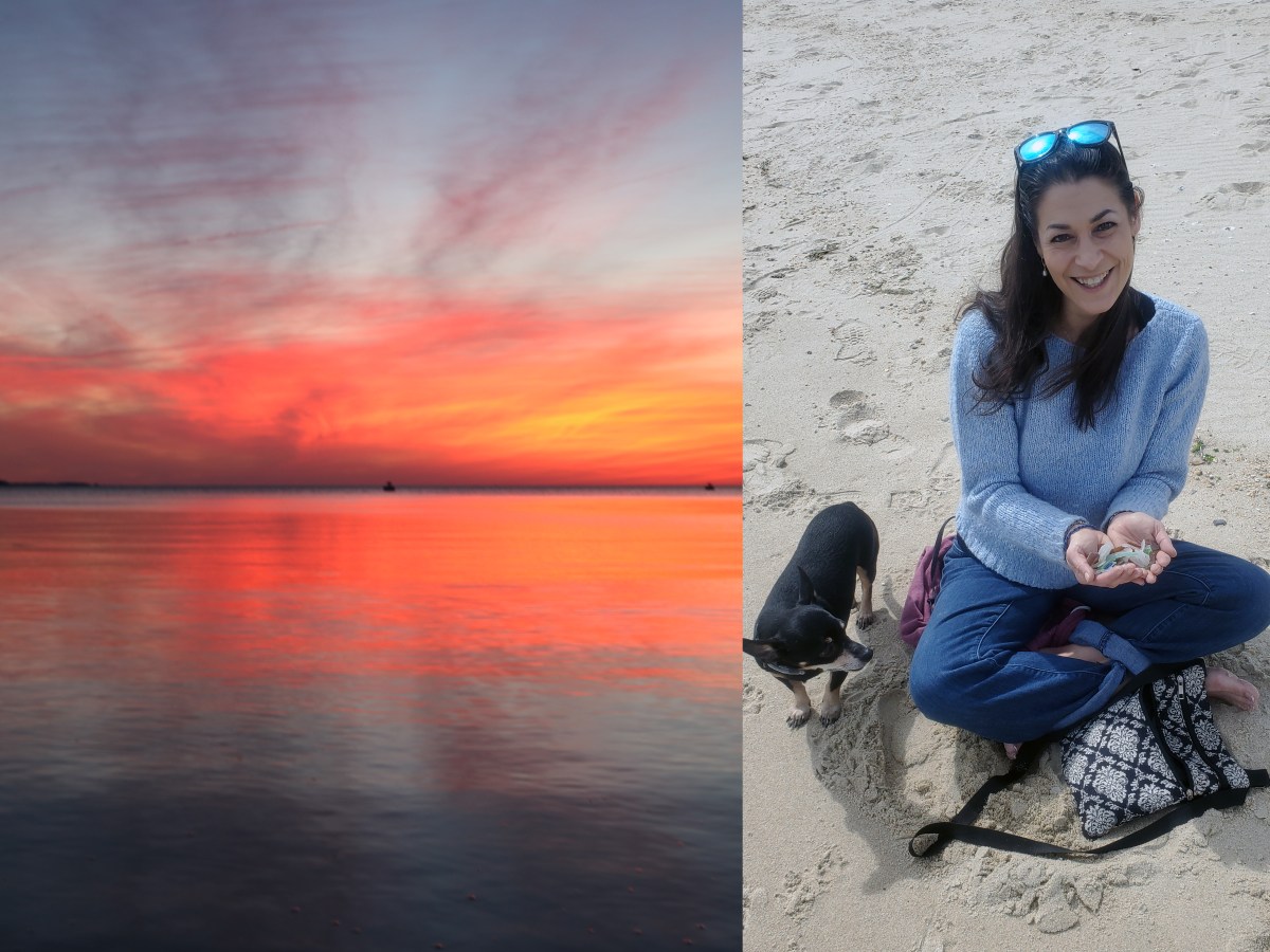 The Tree That Bends but Doesn’t Break in a&nbsp;Hurricane