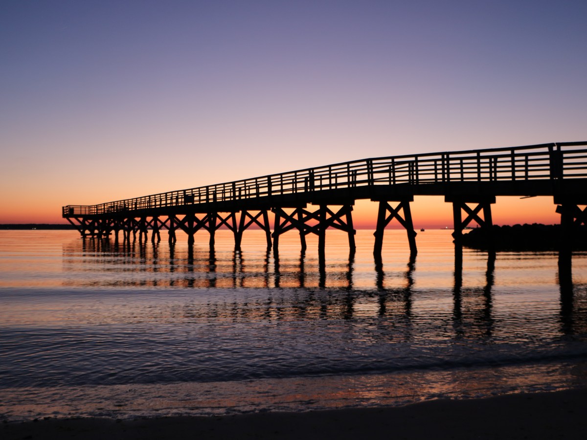 Going Through the&nbsp;Motions