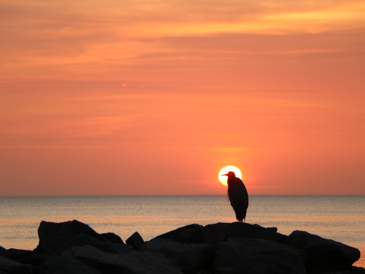 He Knows My&nbsp;Name